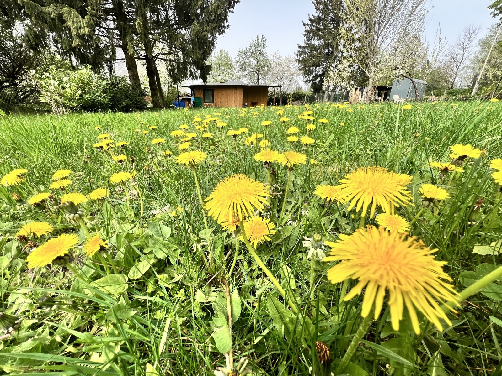 ... in Ihrem neuen Gartenparadies.