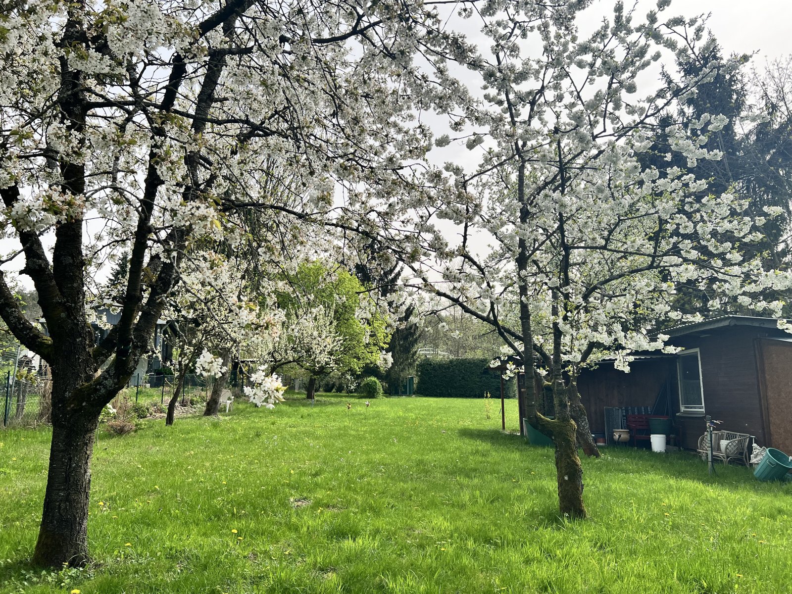 Hier blüht uns was :-)